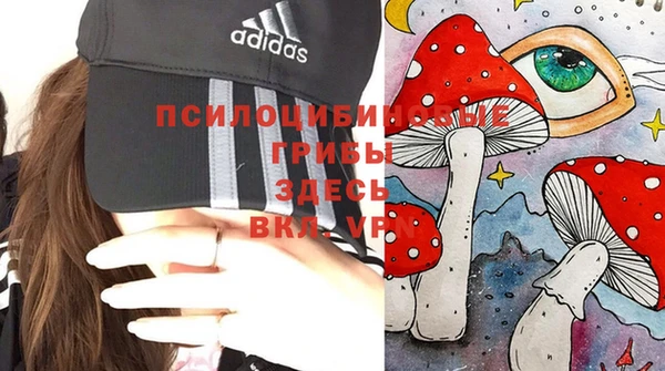 метамфетамин Заводоуковск